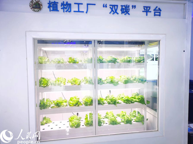 財(cái)經(jīng)觀察 激發(fā)創(chuàng)新源頭活力，科技賦能數(shù)字內(nèi)容，讓生活更精彩