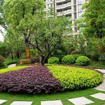 金壇區(qū)園林綠化公司地址查詢與園林綠化工程施工要點(diǎn)